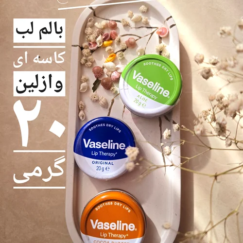 بالم لب کاسه ای وازلین